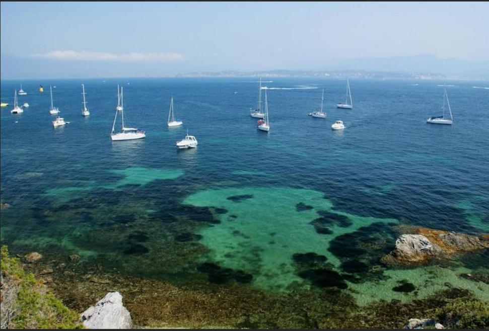ChambreStudio bord de mer Six-Fours-les-Plages Exterior foto